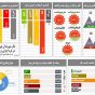 تحلیلی بر نظرسنجی موسسه افکارسنجی دانا درباره اجرای برجام